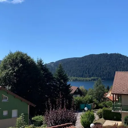Duplex Dans Avec Superbe Vue Et Piscine Commune * Gérardmer