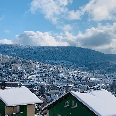 Duplex Dans Avec Superbe Vue Et Piscine Commune Gérardmer