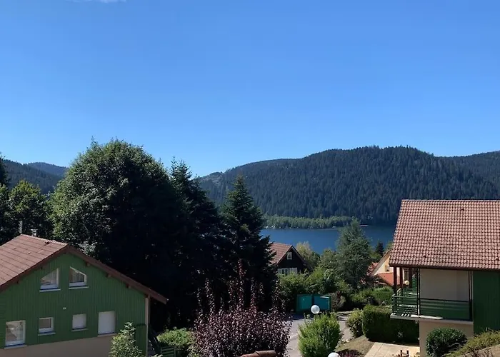 Duplex Dans Avec Superbe Vue Et Piscine Commune * Gérardmer