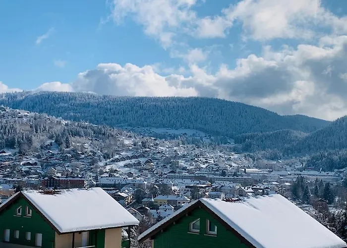 Duplex Dans Avec Superbe Vue Et Piscine Commune Gérardmer